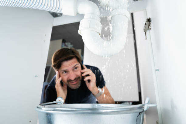 Best Shower Repair Services  in Downers Grove, IL
