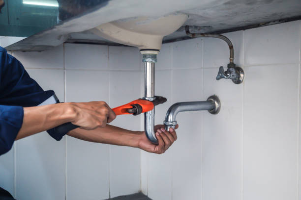 Best Residential Plumbing Services  in Downers Grove, IL