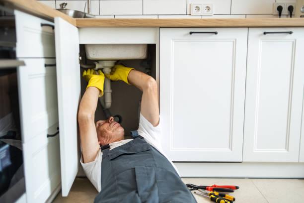 Best Toilet Repair Services  in Downers Grove, IL