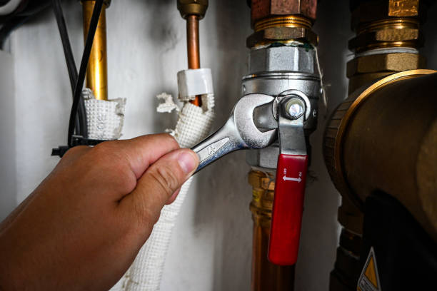 Best Pipe Repair Near Me  in Downers Grove, IL